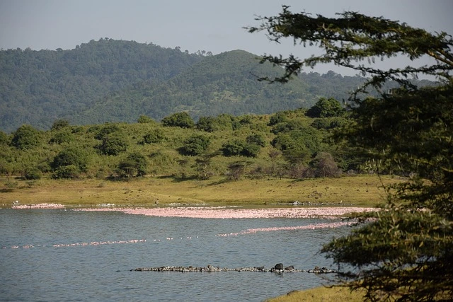 Arusha, Tanzania