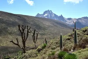 Kenya mountain africa