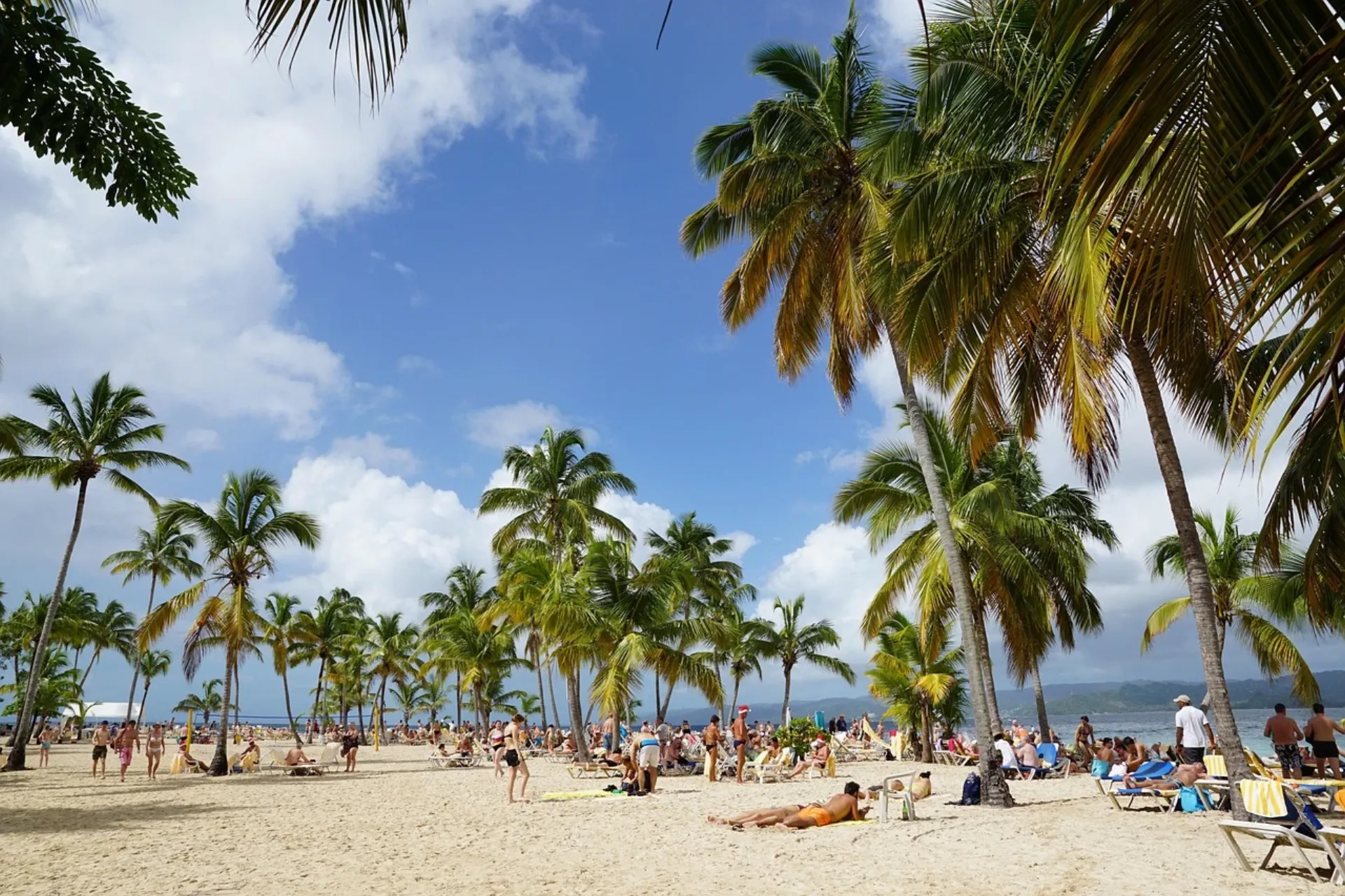 A tropical beach with palm trees and people for a destination guide