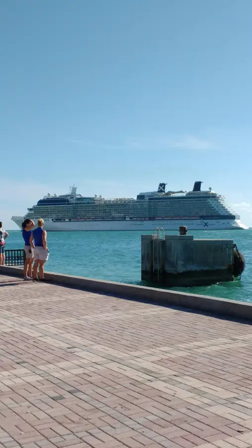 Travelers on a waterfront promenade watch a Celebrity Cruises ship passing through turquoise waters on a clear day.