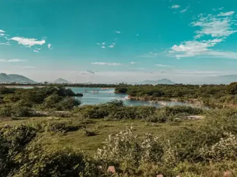 A serene landscape featuring a calm body of water surrounded by lush green shrubbery and distant mountains under a vibrant te