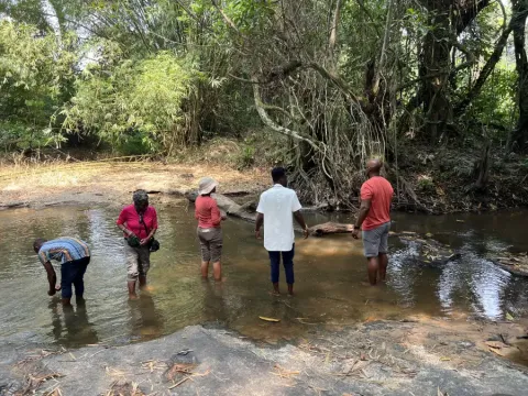 Five people wade through a shallow forest river during the eat-mea-2024 excursion; surrounded by dense tropical vegetation.