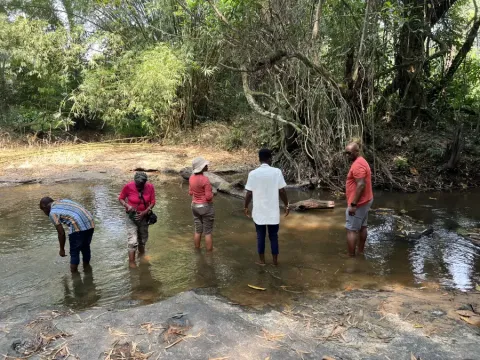 Five travelers wade in a shallow jungle river during the eat-mea-2024 trip; surrounded by dense tropical forest.