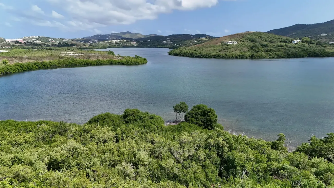 Salt River Bay in St. Croix, U.S. Virgin Islands
