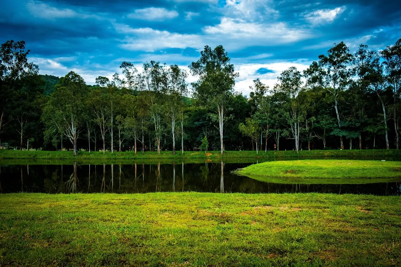 Brazil park featured