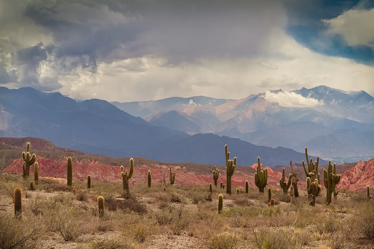 Desert landscape in the Salta provinces of Northern Argentina featured
