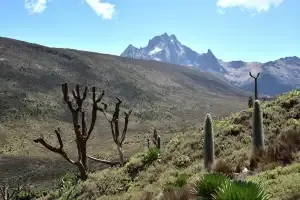 Kenya mountain africa