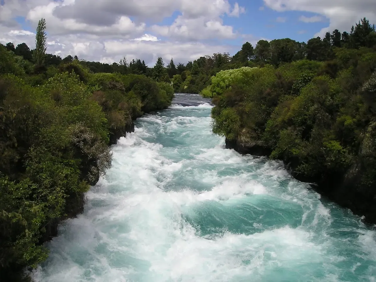 River forest new zealand