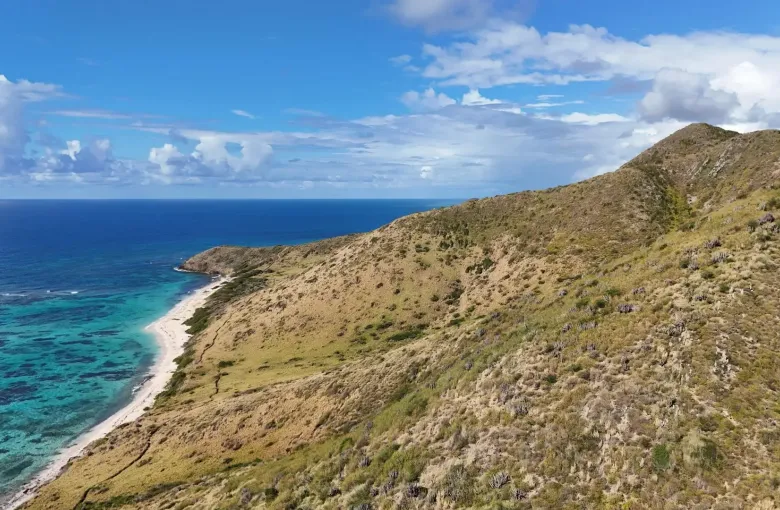 Coastal landscape on the island of St. Croix for a destination guide