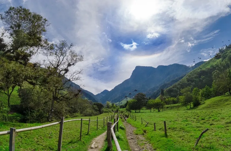 Colombia Cocora for a destination guide