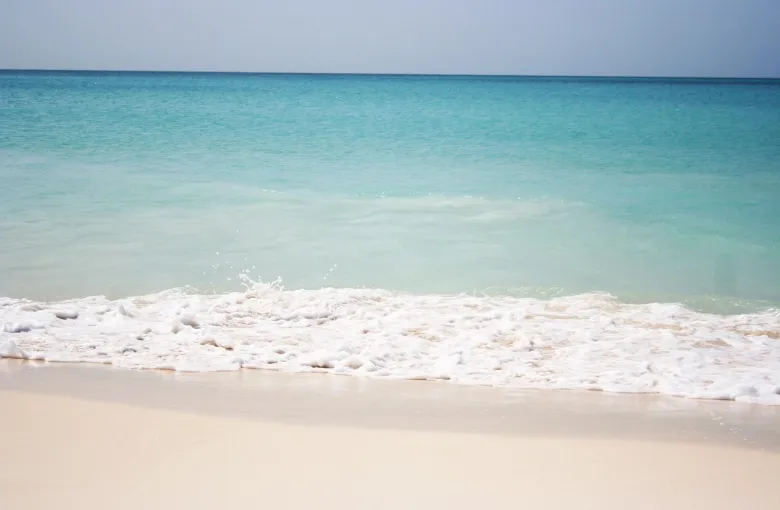 Eagle Beach in Aruba for a safari experience