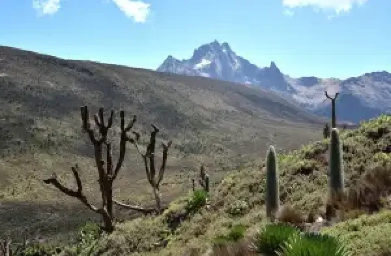 Kenya mountain africa