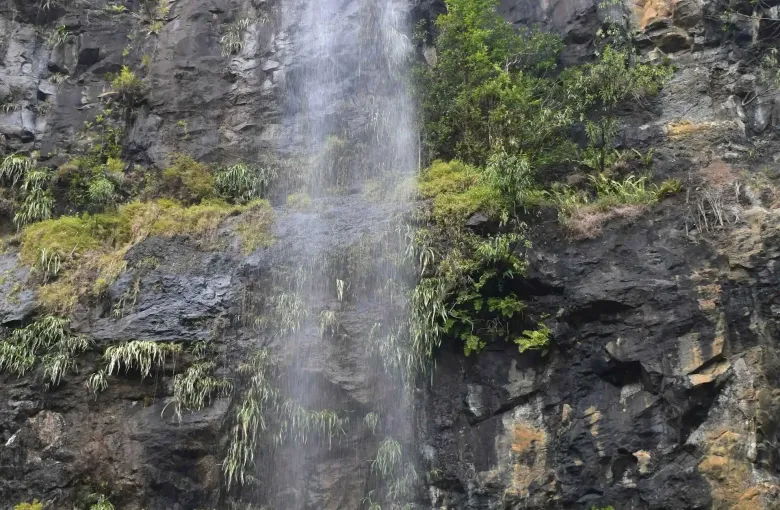 Mare aux Joncs Waterfall in Mauritius for a destination guide