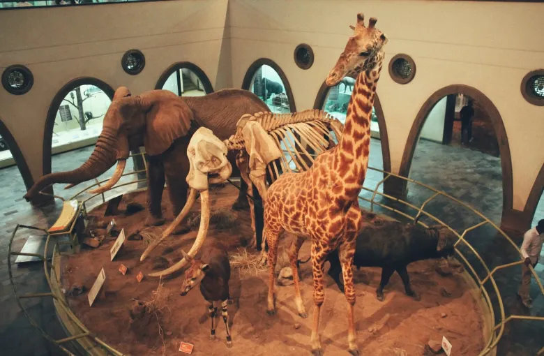 Museum Kenya for a destination guide