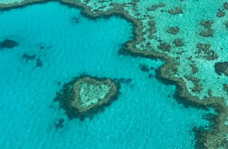 Reef for a destination guide