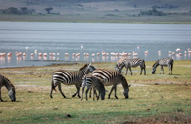 Tanzania Lake for a destination guide