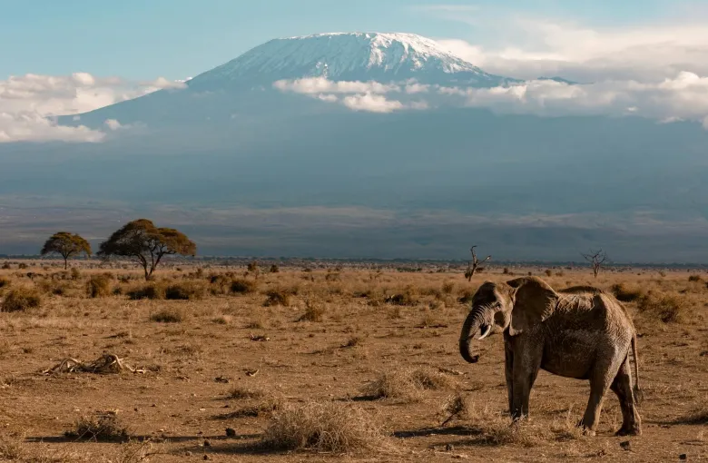 Tanzania National Park for a destination guide