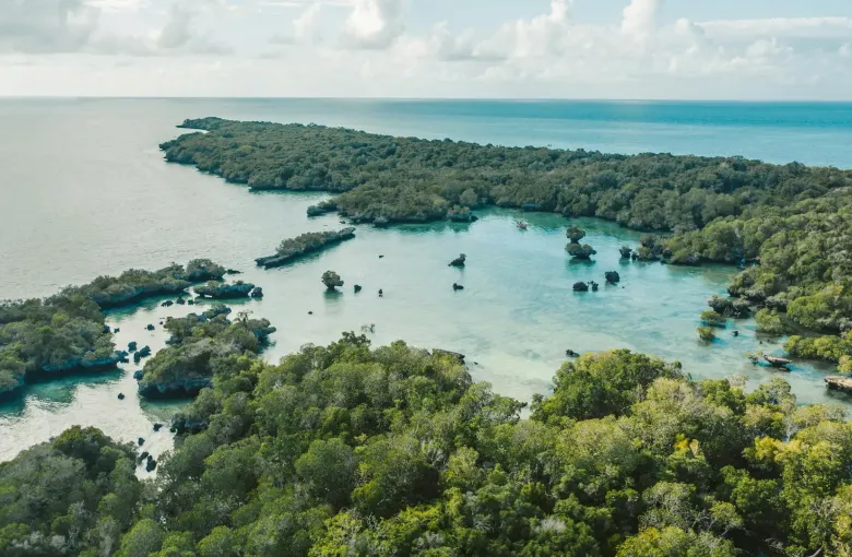 Tropical island lagoon in Zanzibar for a destination guide