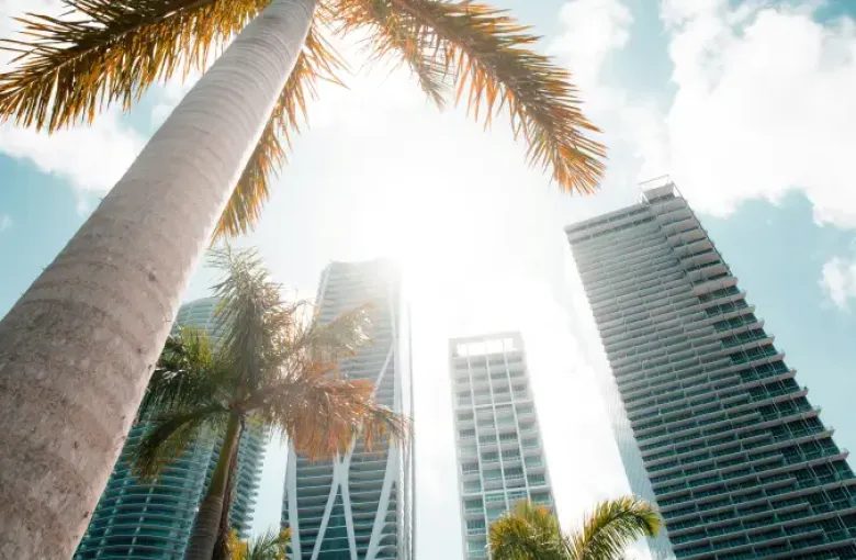 Upward view of tall palm trees and luxury skyscrapers under sunny blue sky in downtown Miami; Florida.
