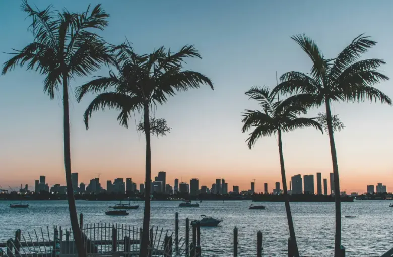 Palm trees silhouetted against a warm sunset over Biscayne Bay with the Miami; Florida skyline in the background.